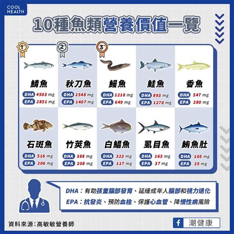 魚 排名|吃魚真會變聰明？ 營養師公布「10大營養魚類」排。